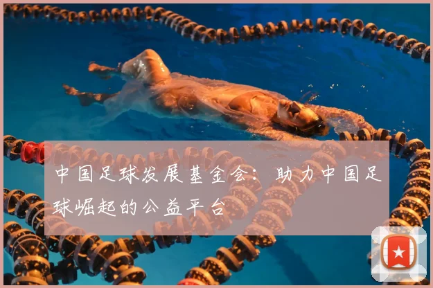 中国足球发展基金会:助力中国足球崛起的公益平台