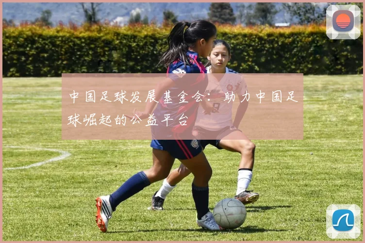 中国足球发展基金会:助力中国足球崛起的公益平台